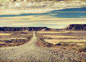 黄玫瑰的花语是什么意思 适合送给哪些人