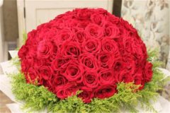 2022十大女生喜欢的礼物排名 应该送什么花