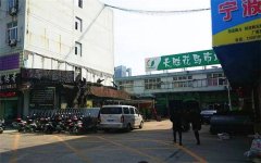 浙江哪里有卖绿植的 什么地方卖绿植便宜