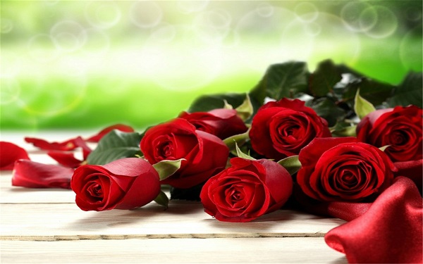 2022七夕情人节送女朋友几朵玫瑰花 不同颜色代表的意义是什么