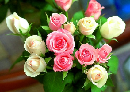 七夕节送多少朵花给女朋友 有哪些寓意