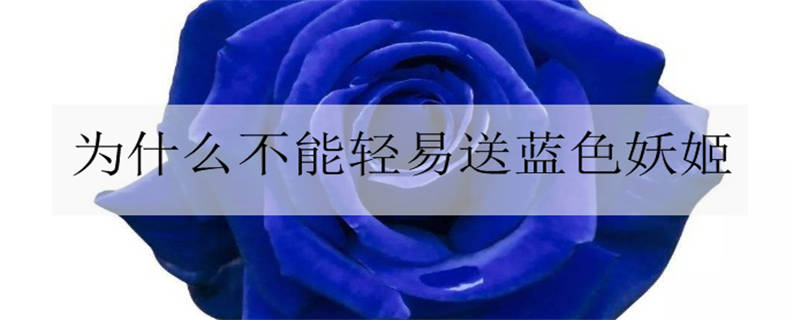 为什么不能轻易送蓝色妖姬 送人代表什么寓意