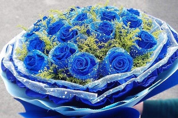 为什么不能轻易送蓝色妖姬 蓝玫瑰有什么寓意