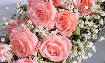 粉玫瑰33朵代表什么意思 粉玫瑰花语是什么