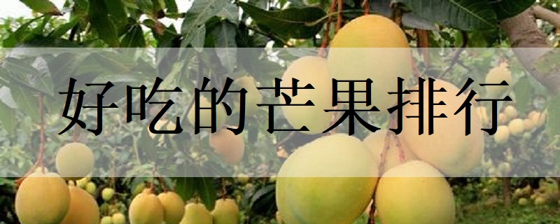 芒果需要什么样的生长环境 芒果养殖技巧