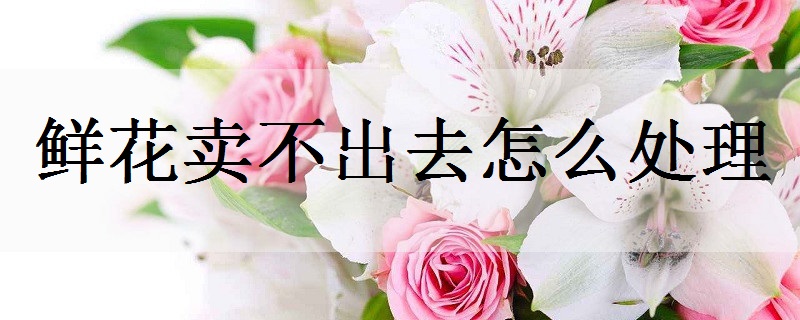 结婚纪念日送老婆什么花好 这四种鲜花寓意好