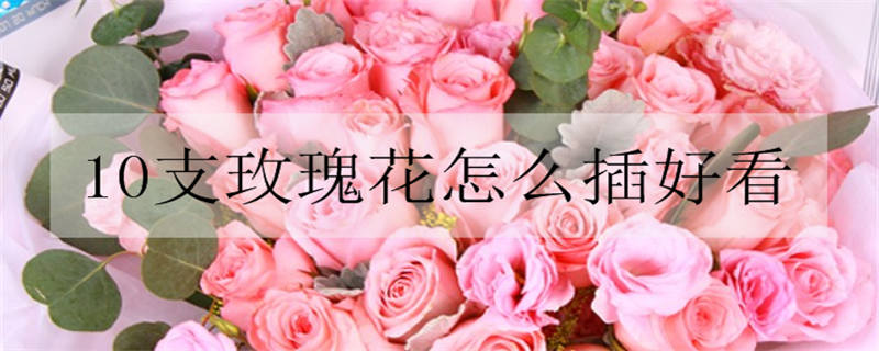 粉色玫瑰花语及寓意 适合送给哪些人