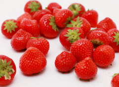 草莓种植时间和方法 草莓怎么高产养殖