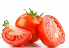 番茄春季育苗苗床管理的技术 番茄怎么养殖比较好