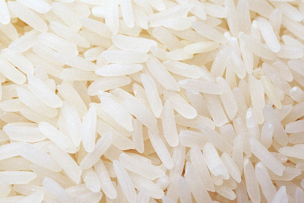 籼稻和粳稻哪个好吃 籼稻和粳稻的作用价值